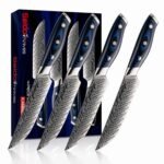 Kanpeki Straight Edge Steak Knives