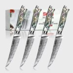 Awabi Straight Edge Steak Knives