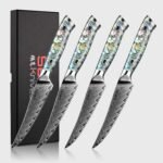 Awabi Serrated Steak Knives